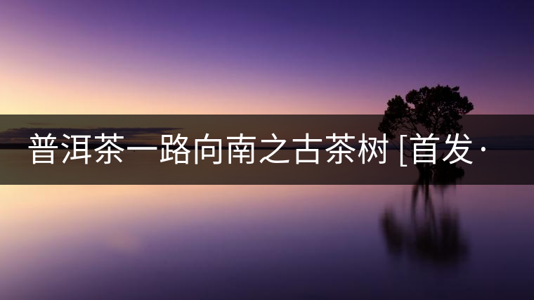 普洱茶一路向南之古茶樹(shù) [首發(fā)·品茗鑒山專(zhuān)欄]