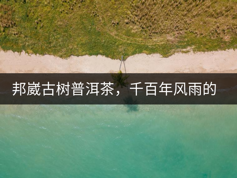 邦崴古樹普洱茶，千百年風(fēng)雨的洗禮