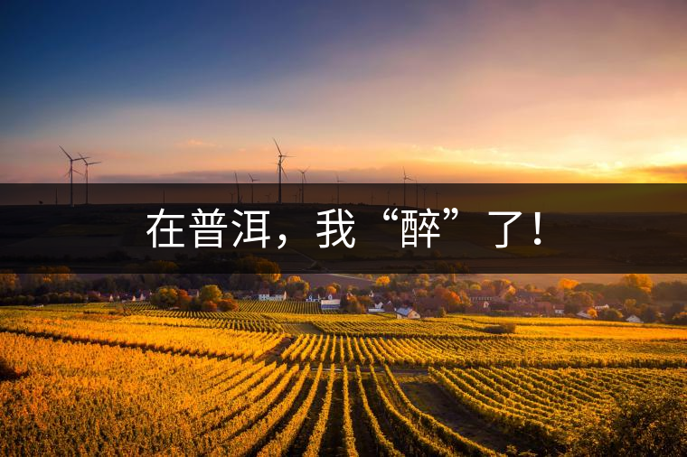 在普洱，我“醉”了！