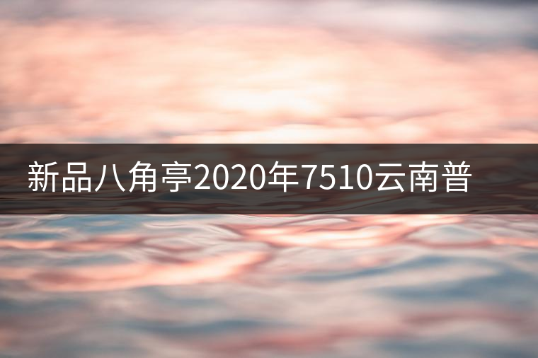 新品八角亭2020年7510云南普洱生茶葉餅357g百年老樹布朗頭春 新品八角亭2020年7510云南普洱生茶葉餅357g百年老樹布朗頭春