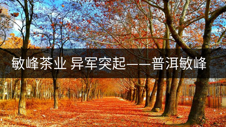 敏峰茶業(yè) 異軍突起——普洱敏峰茶業(yè)有限公司紀(jì)實