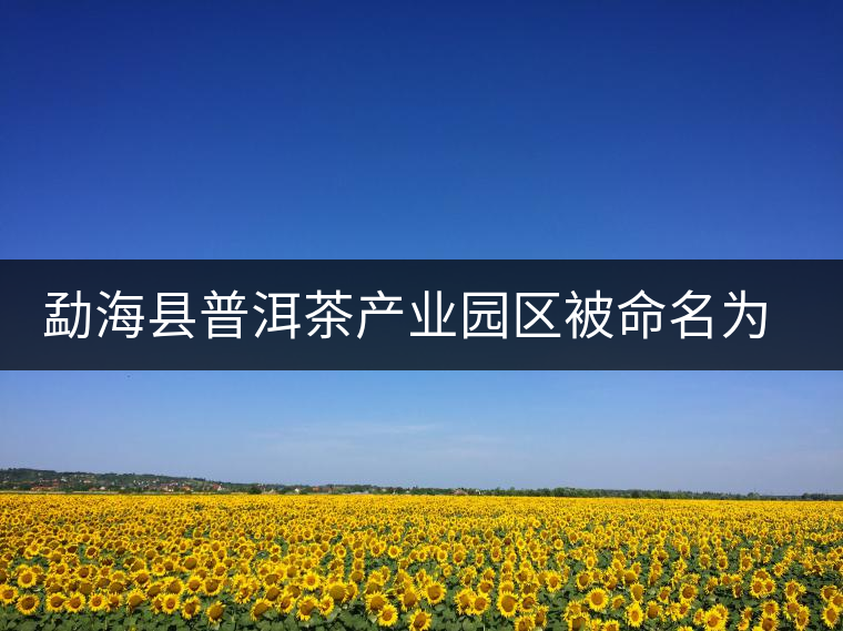 勐?？h普洱茶產(chǎn)業(yè)園區(qū)被命名為 