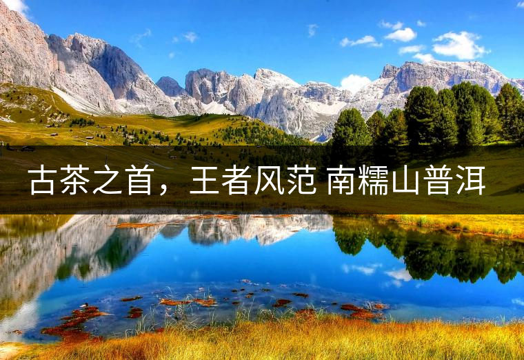 古茶之首，王者風(fēng)范 南糯山普洱茶