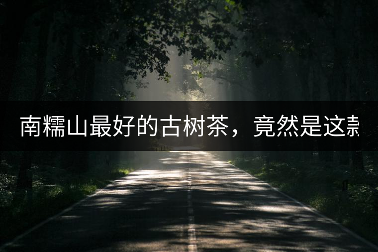 南糯山最好的古樹茶，竟然是這款！