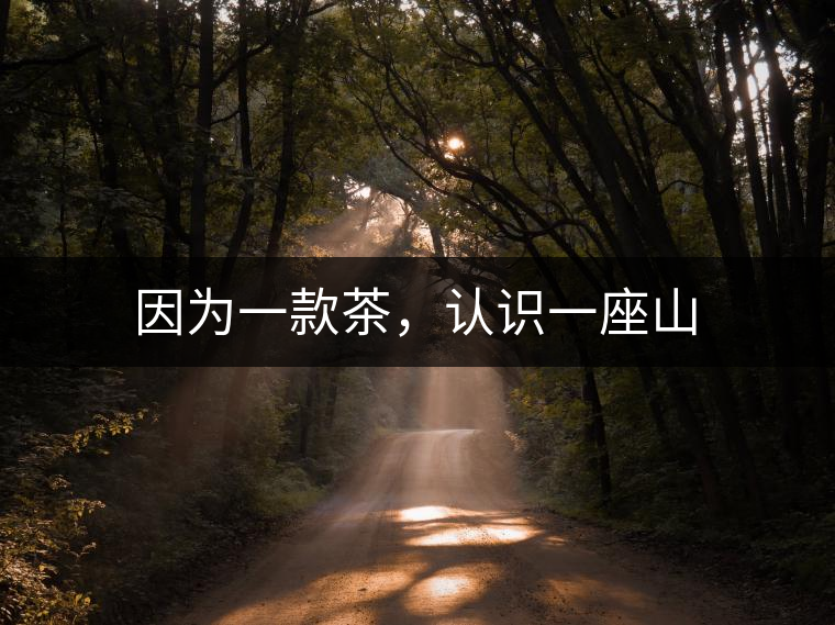 因?yàn)橐豢畈?，認(rèn)識一座山