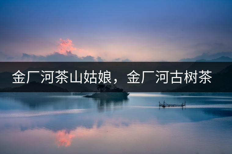 金廠河茶山姑娘，金廠河古樹茶特點與價格