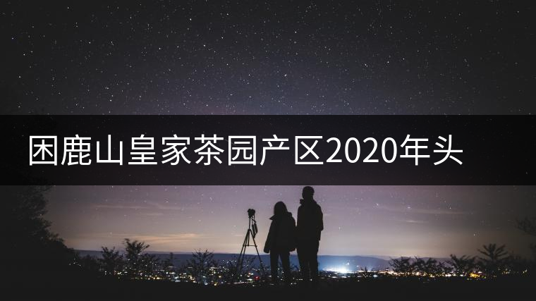困鹿山皇家茶園產(chǎn)區(qū)2020年頭春古樹，白花林口感特點(diǎn)