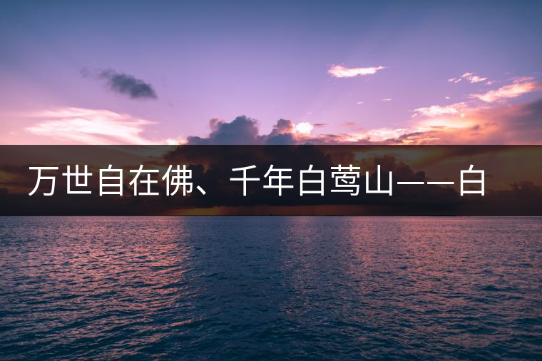 萬(wàn)世自在佛、千年白鶯山——白鶯山古樹茶特點(diǎn)