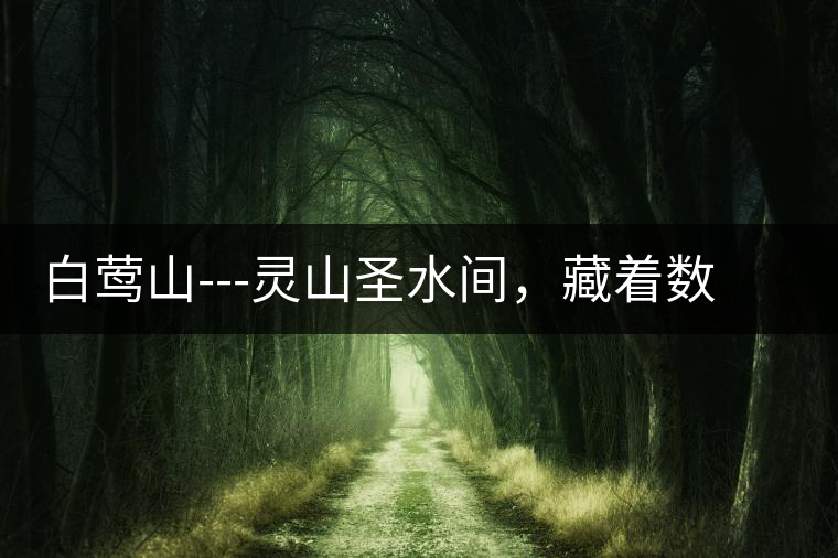 白鶯山---靈山圣水間，藏著數(shù)不盡的佛茶佳話