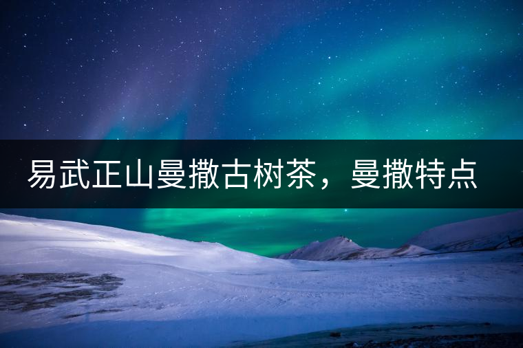 易武正山曼撒古樹(shù)茶，曼撒特點(diǎn)分享介紹