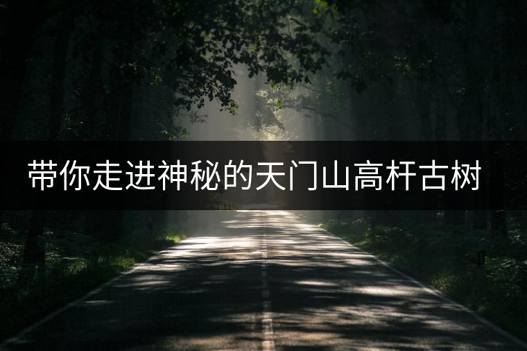 帶你走進(jìn)神秘的天門山高桿古樹茶園 帶你走進(jìn)神秘的天門山高桿古樹茶園