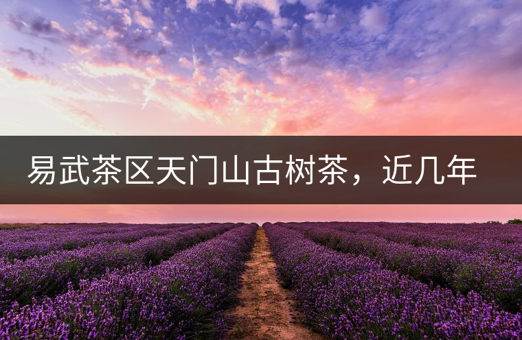 易武茶區(qū)天門山古樹茶，近幾年的熱門山頭