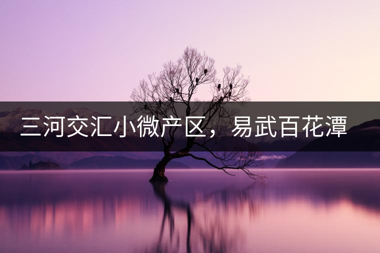 三河交匯小微產(chǎn)區(qū)，易武百花潭古茶園介紹