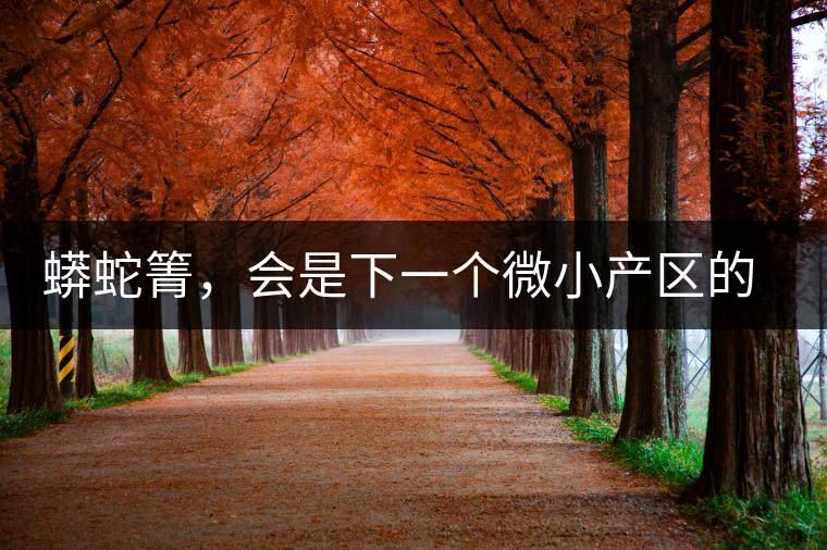 蟒蛇箐，會是下一個微小產(chǎn)區(qū)的熱門山頭嗎？