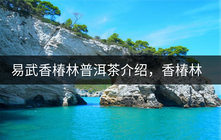 易武香椿林普洱茶介紹，香椿林古樹茶口感特點(diǎn)