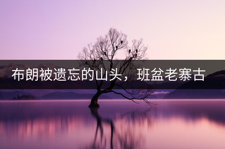 布朗被遺忘的山頭，班盆老寨古茶園介紹