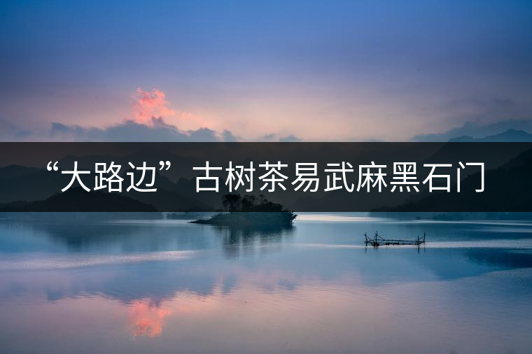 “大路邊”古樹(shù)茶易武麻黑石門坎你應(yīng)該了解的山頭 “大路邊”古樹(shù)茶易武麻黑石門坎你應(yīng)該了解的山頭