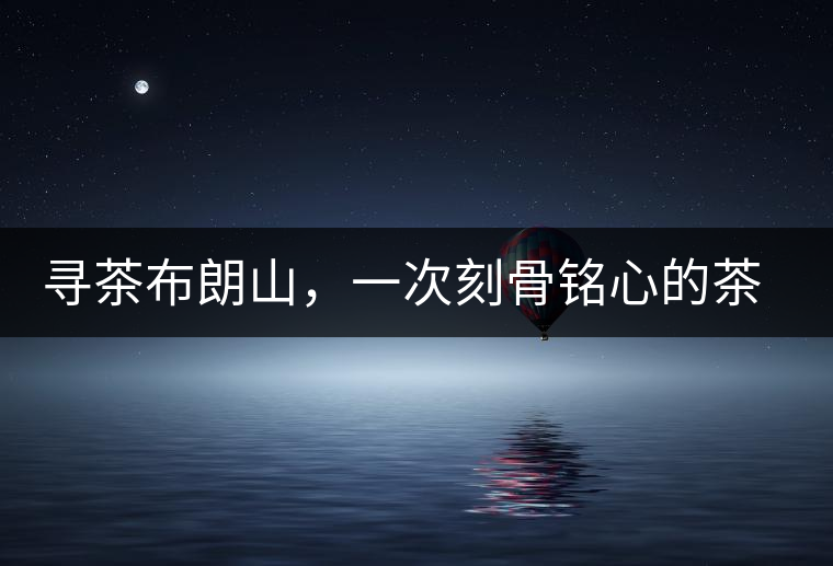 尋茶布朗山，一次刻骨銘心的茶山行