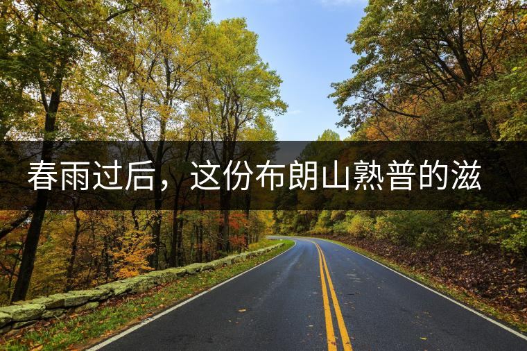 春雨過后，這份布朗山熟普的滋味正當時