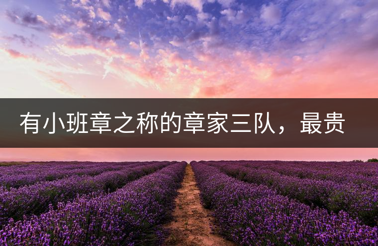 有小班章之稱的章家三隊，最貴的小樹茶