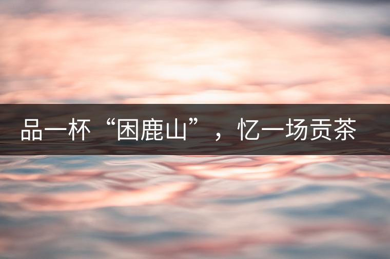 品一杯“困鹿山”，憶一場(chǎng)貢茶情