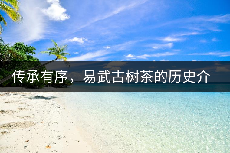 傳承有序，易武古樹茶的歷史介紹