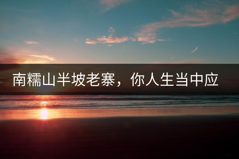 南糯山半坡老寨，你人生當(dāng)中應(yīng)該入手的第一片勐海味古樹純料普洱茶