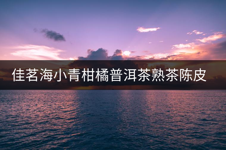 佳茗海小青柑橘普洱茶熟茶陳皮普洱新會小金桔柑普茶葉試喝體驗裝