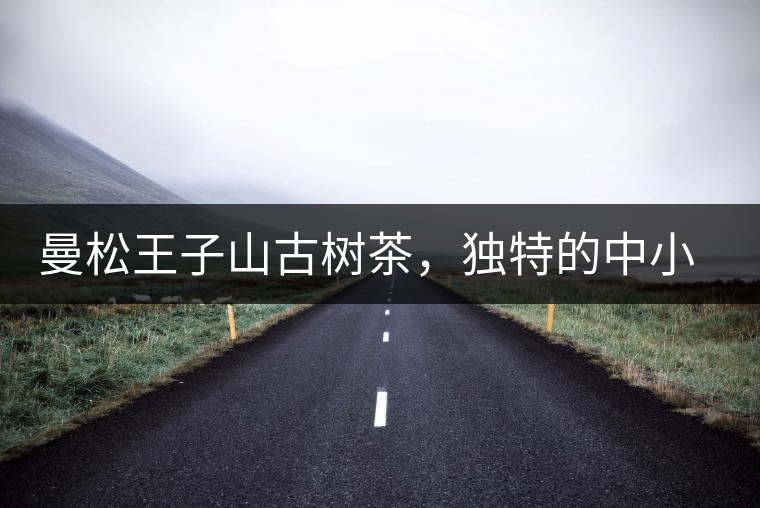 曼松王子山古樹茶，獨特的中小葉種珍品貢茶