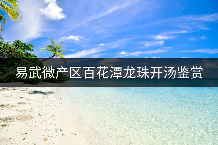 易武微產區(qū)百花潭龍珠開湯鑒賞