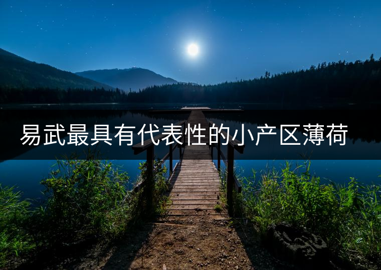 易武最具有代表性的小產(chǎn)區(qū)薄荷塘，一滴都不舍得浪費(fèi)