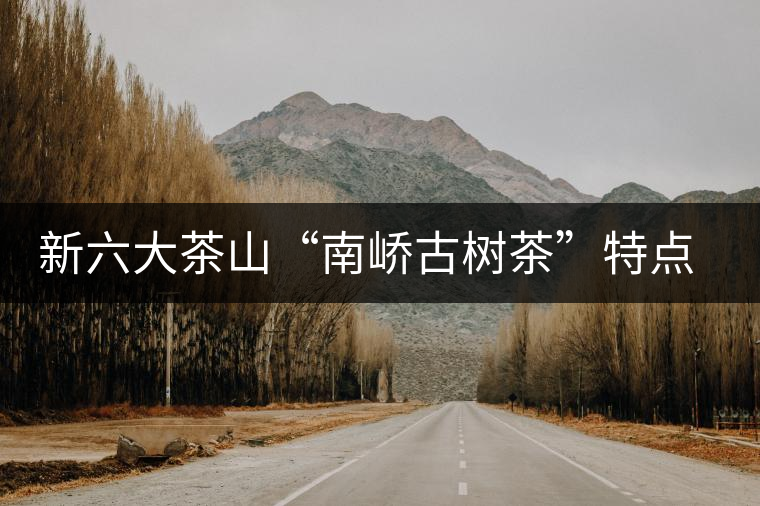 新六大茶山“南嶠古樹茶”特點介紹