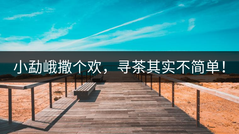 小勐峨撒個歡，尋茶其實不簡單！