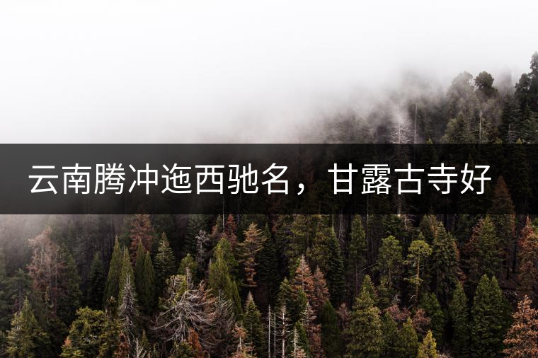 云南騰沖迤西馳名，甘露古寺好茶