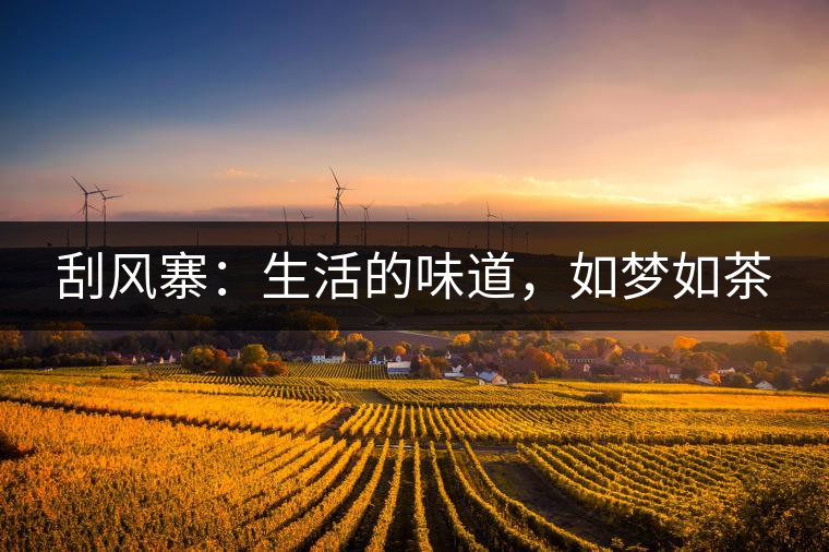 刮風寨：生活的味道，如夢如茶
