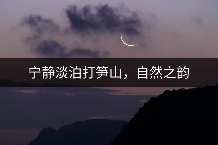 寧靜淡泊打筍山，自然之韻
