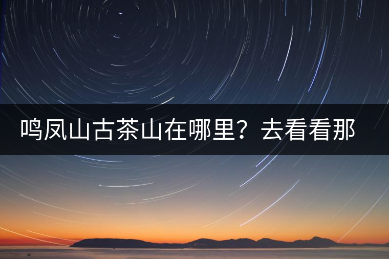 鳴鳳山古茶山在哪里？去看看那鳳凰曾經(jīng)落腳的地方