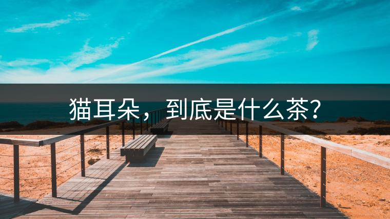 貓耳朵，到底是什么茶？