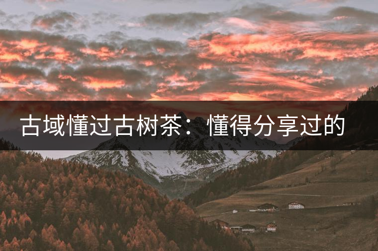 古域懂過(guò)古樹(shù)茶：懂得分享過(guò)的快樂(lè)，方為懂過(guò)