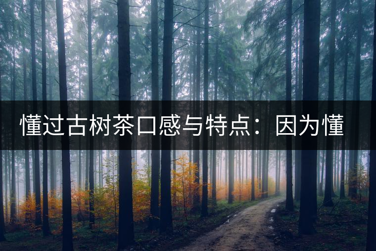 懂過古樹茶口感與特點：因為懂得，所以舍得用余生來珍惜！