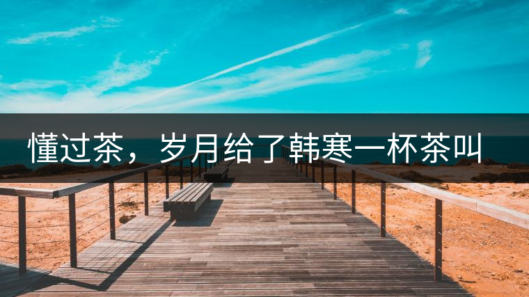 懂過茶，歲月給了韓寒一杯茶叫懂過