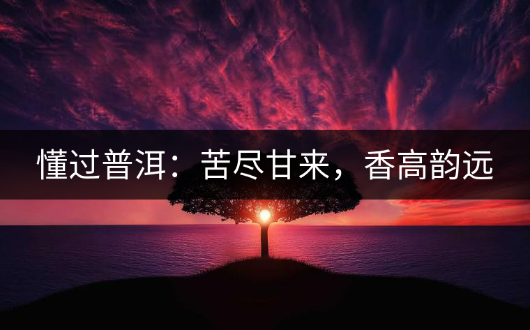 懂過(guò)普洱：苦盡甘來(lái)，香高韻遠(yuǎn)
