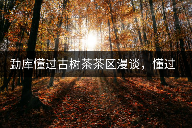 勐庫懂過古樹茶茶區(qū)漫談，懂過古樹茶的特點(diǎn)