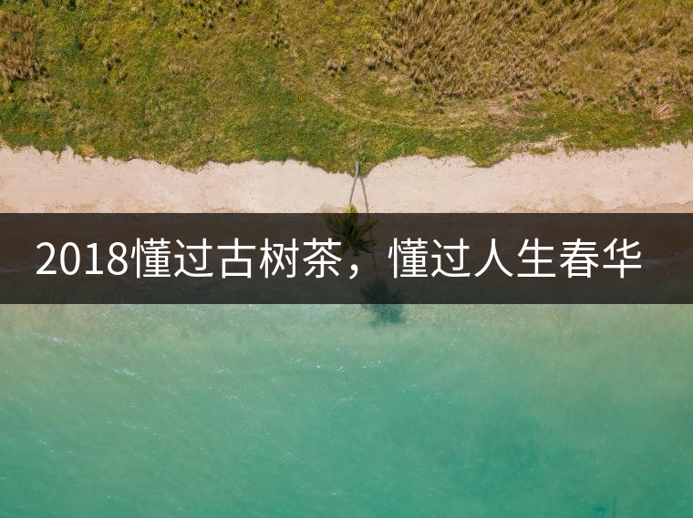 2018懂過(guò)古樹(shù)茶，懂過(guò)人生春華秋實(shí)！