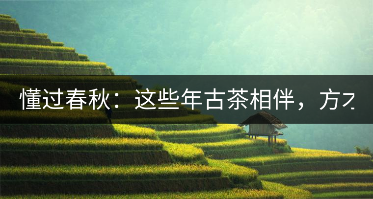 懂過春秋：這些年古茶相伴，方才懂過！