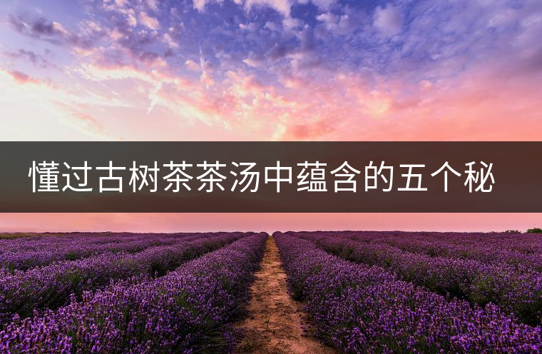 懂過古樹茶茶湯中蘊含的五個秘密 懂過古樹茶茶湯中蘊含的五個秘密