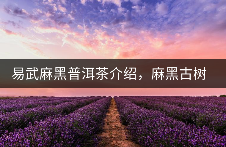 易武麻黑普洱茶介紹，麻黑古樹(shù)茶口感特點(diǎn)