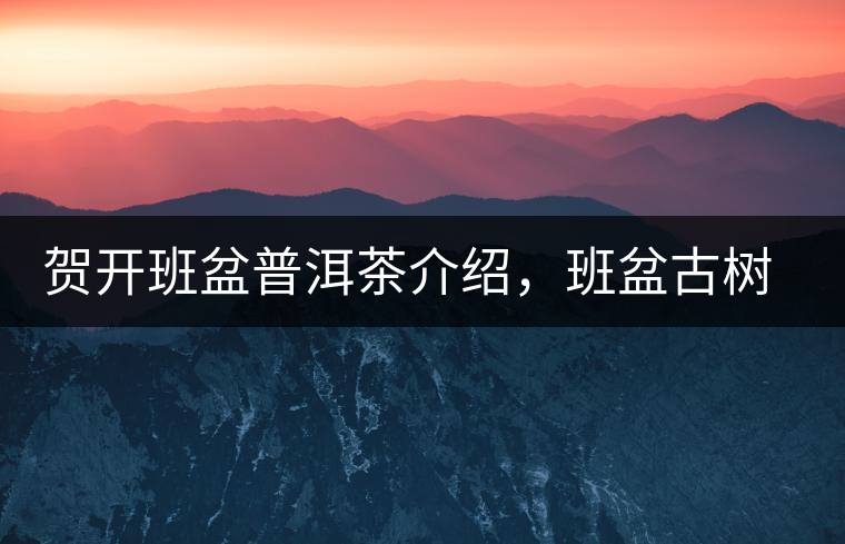 賀開班盆普洱茶介紹，班盆古樹茶口感特點