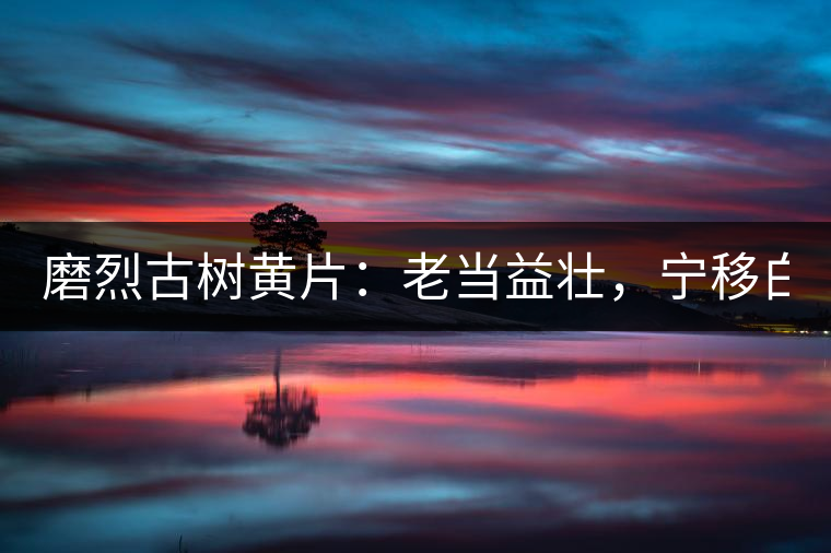 磨烈古樹黃片：老當益壯，寧移白首之心！