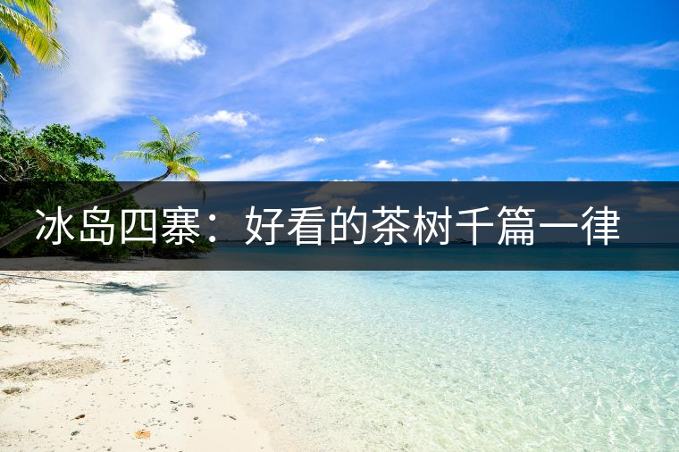 冰島四寨：好看的茶樹(shù)千篇一律，有趣的風(fēng)景萬(wàn)里